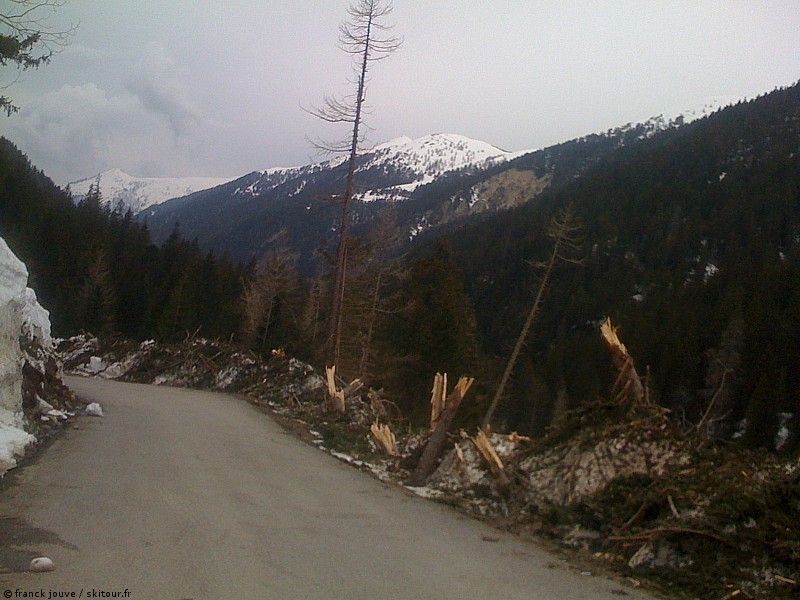 #21 Avalanches : Les avalanches ont cassé des arbres de gros diamètre ce qui prouve le caractère exceptionnel de cette saison Avalanches : Les avalanches ont cassé des arbres de gros diamètre ce qui prouve le caractère exceptionnel de cette saison