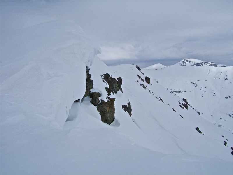 #7 Bonette : Corniche à la Pointe de Chaufrède. Bonette : Corniche à la Pointe de Chaufrède.