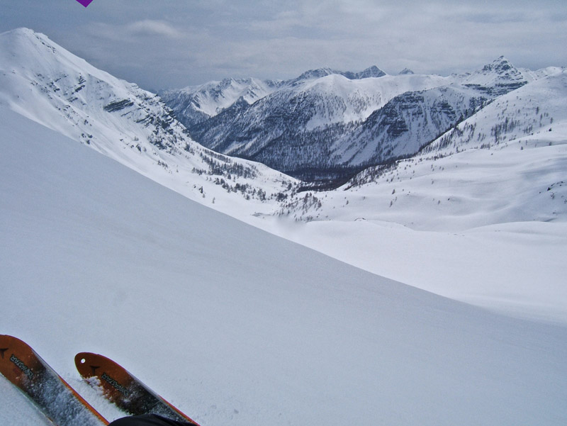 #15 Bonette : Magnifique! Bonette : Magnifique!
