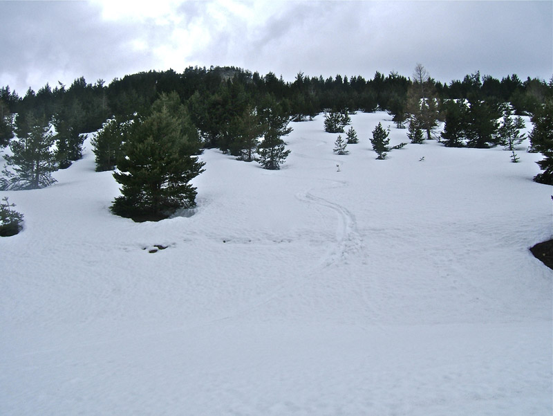 #12 LAUSES : Mes derniers virages (1850m) avant de jouer la longue poussette jusqu LAUSES : Mes derniers virages (1850m) avant de jouer la longue poussette jusqu'à la voiture.