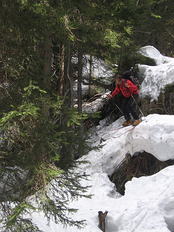 #5 Mont Tondu : free style dans les bois Mont Tondu : free style dans les bois