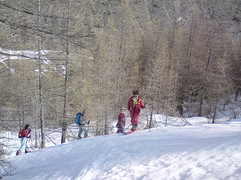 #2 Dans les mélèzes : ça grimpe un peu, les couteaux pour les poids plumes... Dans les mélèzes : ça grimpe un peu, les couteaux pour les poids plumes...