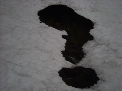 #2 val de courre : petite apparition du ruisseau au milieu de toute cette neige val de courre : petite apparition du ruisseau au milieu de toute cette neige