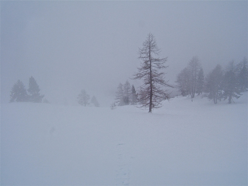 #13 Gipière : En plus de la sous couche qui ne tient pas voilà la brume et peu de visibilité, 2 à 3 chutes, et je vais prendre le couloir d Gipière : En plus de la sous couche qui ne tient pas voilà la brume et peu de visibilité, 2 à 3 chutes, et je vais prendre le couloir d'avalanche qui s'avérera plus facile.