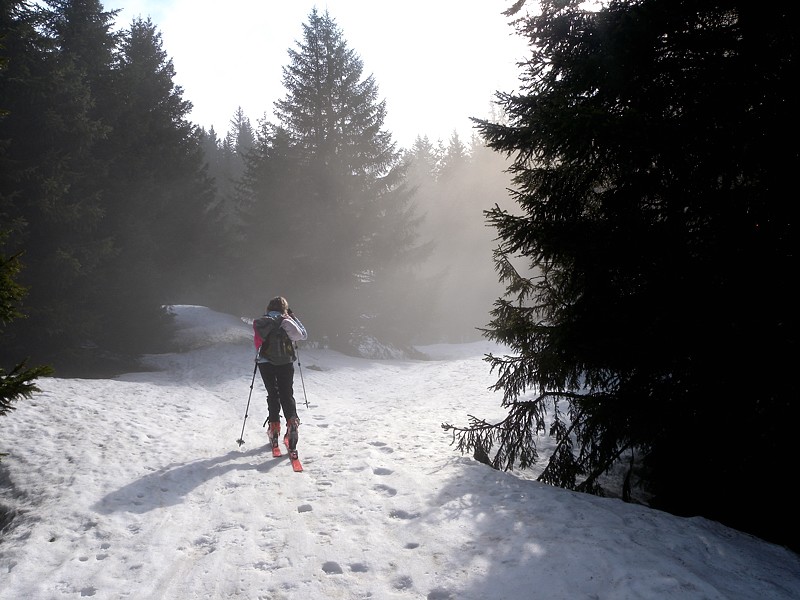 #1 En forêt : Aperçu de l En forêt : Aperçu de l'enneigement somme toute correct vu les T° de ce mois d'avril.