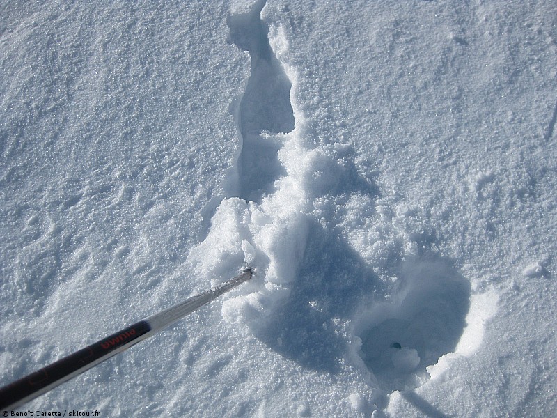 #10 Neige fraîche : C Neige fraîche : C'est de la bonne...