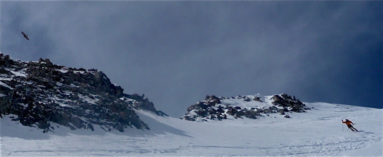 #11 Skieur et Rapace : rencontre à 3600 Skieur et Rapace : rencontre à 3600