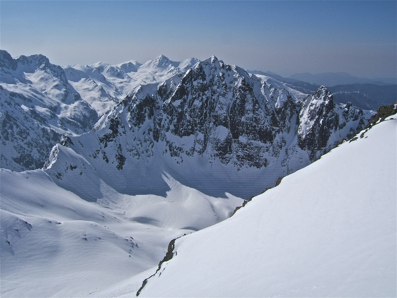 #4 PONSET : Majestueux Néglier. PONSET : Majestueux Néglier.
