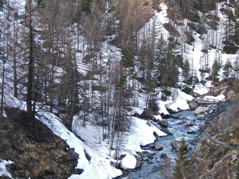 #1 Nègre et Mounier : On chausse à la passerelle pour le vallon de Crous. Le pont toujours aussi branlant. Nègre et Mounier : On chausse à la passerelle pour le vallon de Crous. Le pont toujours aussi branlant.