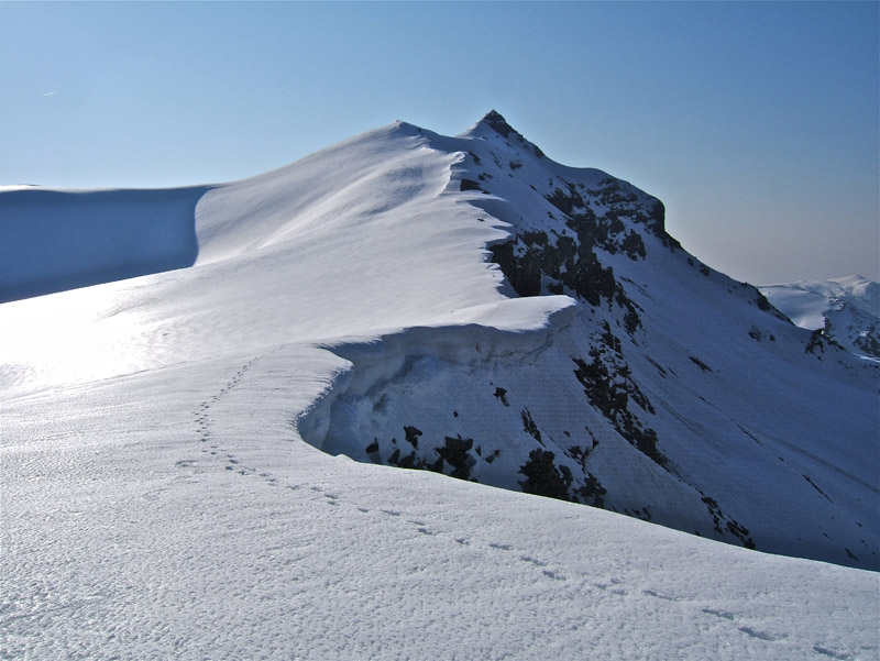 #3 Nègre et Mounier : Il suffit de suivre la trace de chamois depuis le col de Crous, et la cime Nègre apparaît. Nègre et Mounier : Il suffit de suivre la trace de chamois depuis le col de Crous, et la cime Nègre apparaît.