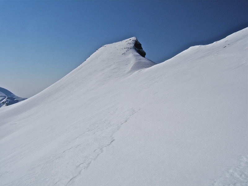 #4 Nègre et Mounier : Cime Nègre presque pas de cailloux, étonnant!! Nègre et Mounier : Cime Nègre presque pas de cailloux, étonnant!!