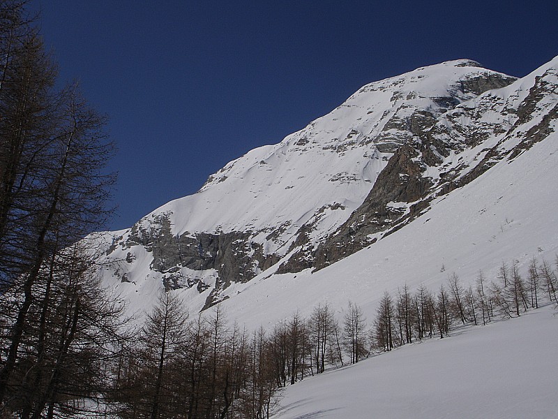 #2 Le Cimet : La face Est, the steepest (ou presque) of the Ubaye, encore en condition pour quelques jours. Le Cimet : La face Est, the steepest (ou presque) of the Ubaye, encore en condition pour quelques jours.