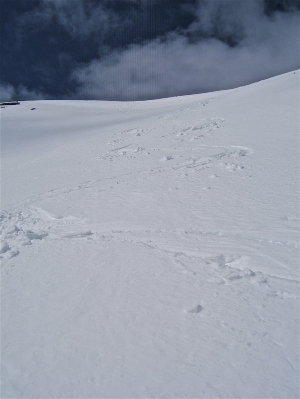 #7 Bonette : Mes traces dans la pente sommitale. Bonette : Mes traces dans la pente sommitale.