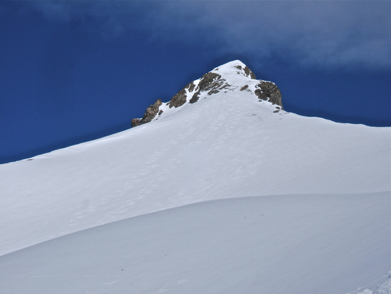 #7 PELAT : Le Mont Pelat et sa pente sommitale S. PELAT : Le Mont Pelat et sa pente sommitale S.