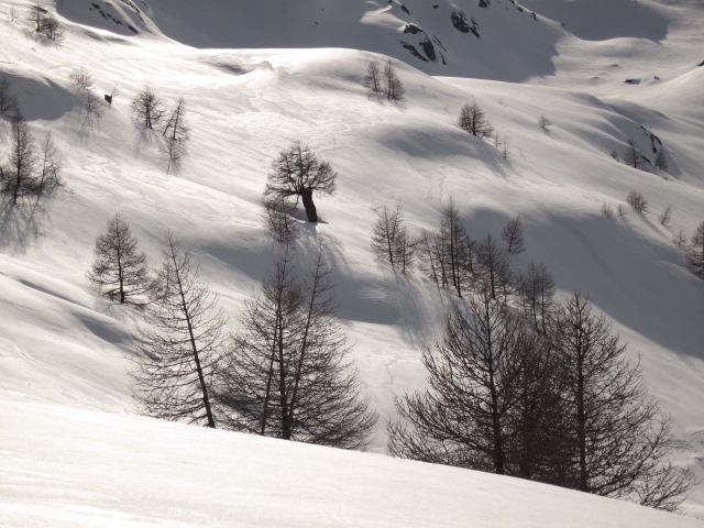 #13 Refuge des Merveilles : Belles éclaircies en fin de soirée. Un espoir renaît. Refuge des Merveilles : Belles éclaircies en fin de soirée. Un espoir renaît.