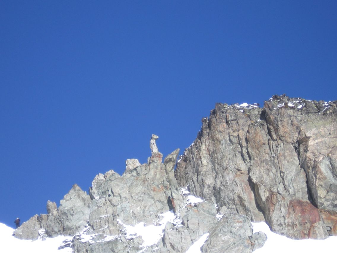 #4 breche du chien : oh un chien.. breche du chien : oh un chien..