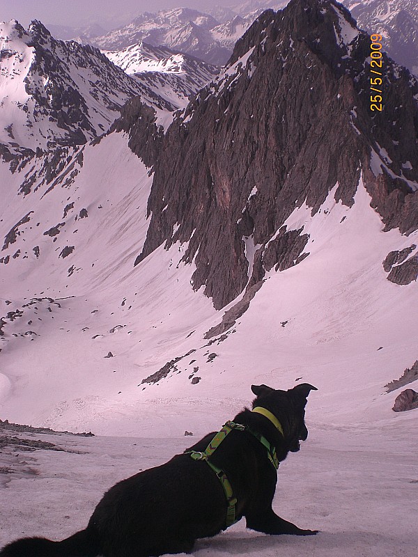 #7 départ de la descente : Neige portante dans la pente sommitale.
Face au pic de la moulinière départ de la descente : Neige portante dans la pente sommitale.
Face au pic de la moulinière