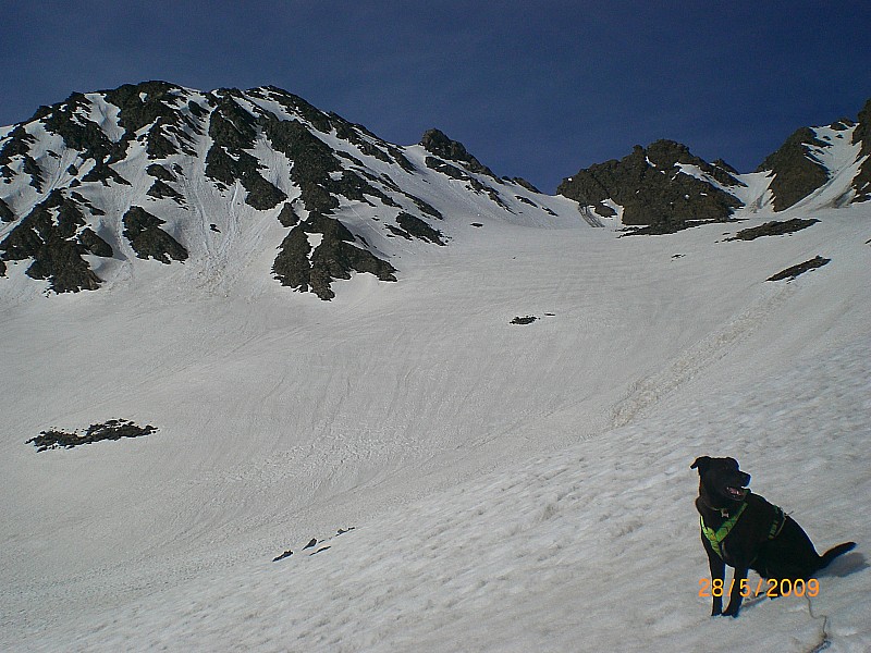 Pic de Foréant : Le haut du vallon de la Roche Blanche avec à gauche le versant N-E du Pic de Foréant.
Le "couloir" en oblique aboutit au sommet.