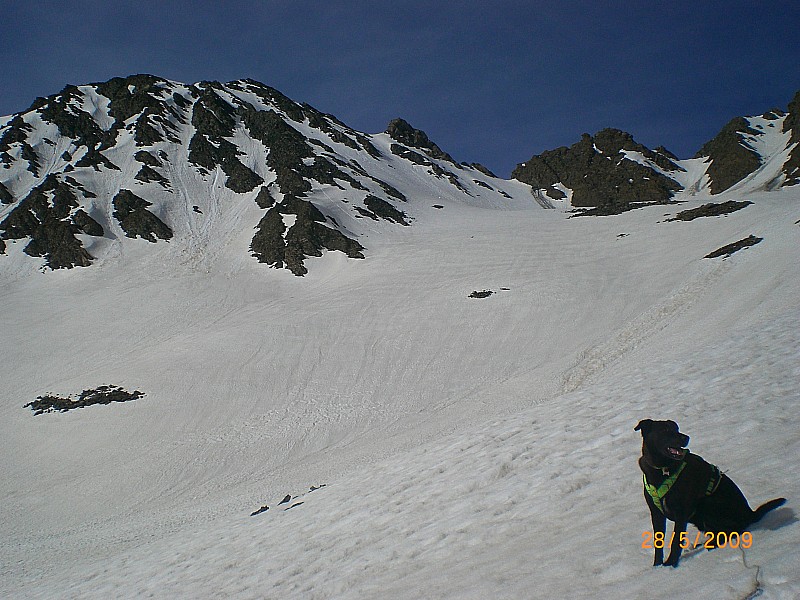 #6 Pic de Foréant : Le haut du vallon de la Roche Blanche avec à gauche le versant N-E du Pic de Foréant.
Le "couloir" en oblique aboutit au sommet. Pic de Foréant : Le haut du vallon de la Roche Blanche avec à gauche le versant N-E du Pic de Foréant.
Le "couloir" en oblique aboutit au sommet.