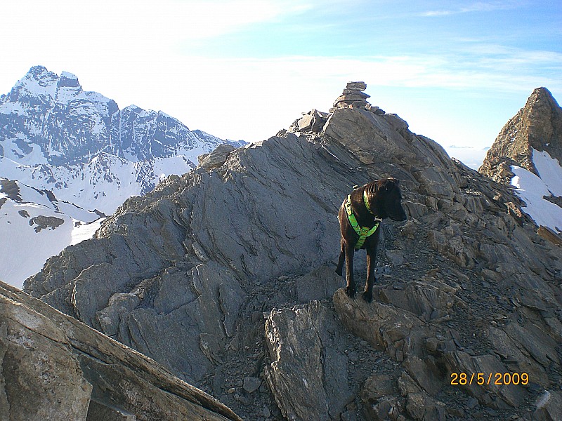 #2 sommet du Rocca Rossa : Au pays du Viso et de l sommet du Rocca Rossa : Au pays du Viso et de l'Asti (à droite)