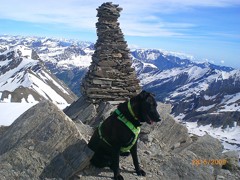 #7 pic de Foréant 3081m : content d pic de Foréant 3081m : content d'arriver au sommet