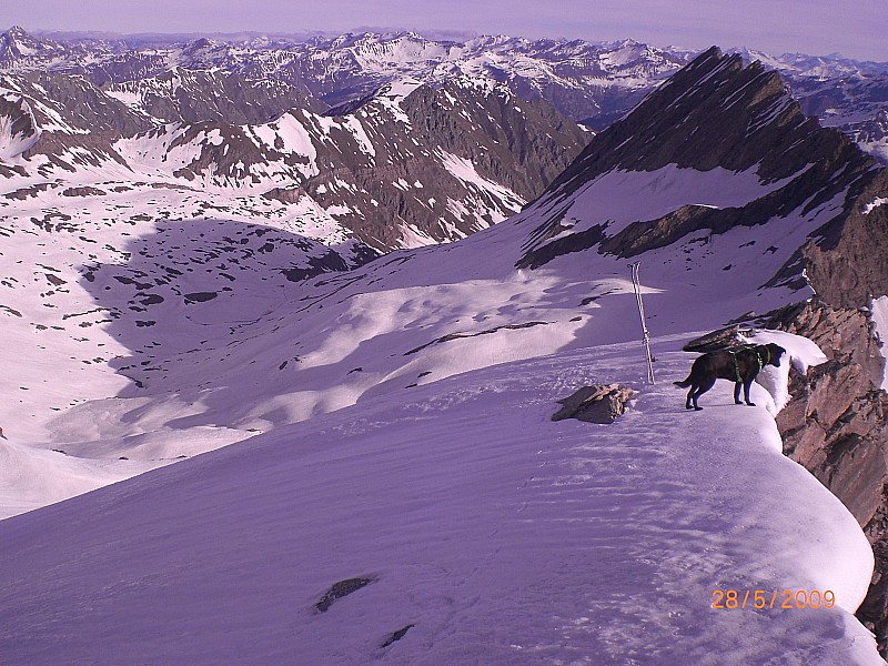 #3 crête sommitale Rocca Rossa : Au fond le vallon de Bouchouse bordé à droite par la Taillante. crête sommitale Rocca Rossa : Au fond le vallon de Bouchouse bordé à droite par la Taillante.