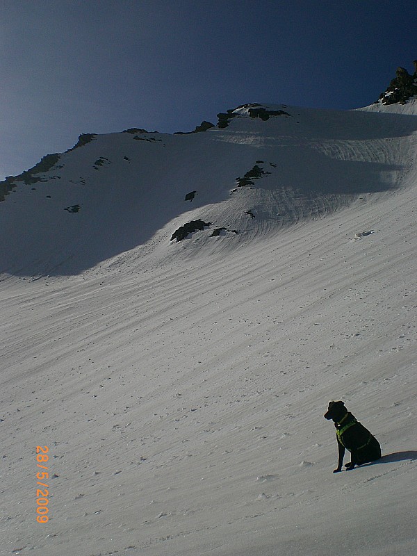 #1 Pente sommitale NW : La pente est uniforme et facile à skier Pente sommitale NW : La pente est uniforme et facile à skier