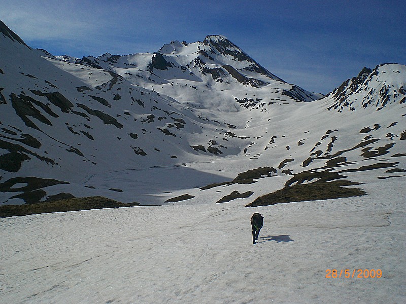 #5 vallon de Bouchouse : Le Lac de Foréant à gauche est encore bien blanc.
Au fond le Rocca Rossa et le Pain de Sucre. vallon de Bouchouse : Le Lac de Foréant à gauche est encore bien blanc.
Au fond le Rocca Rossa et le Pain de Sucre.