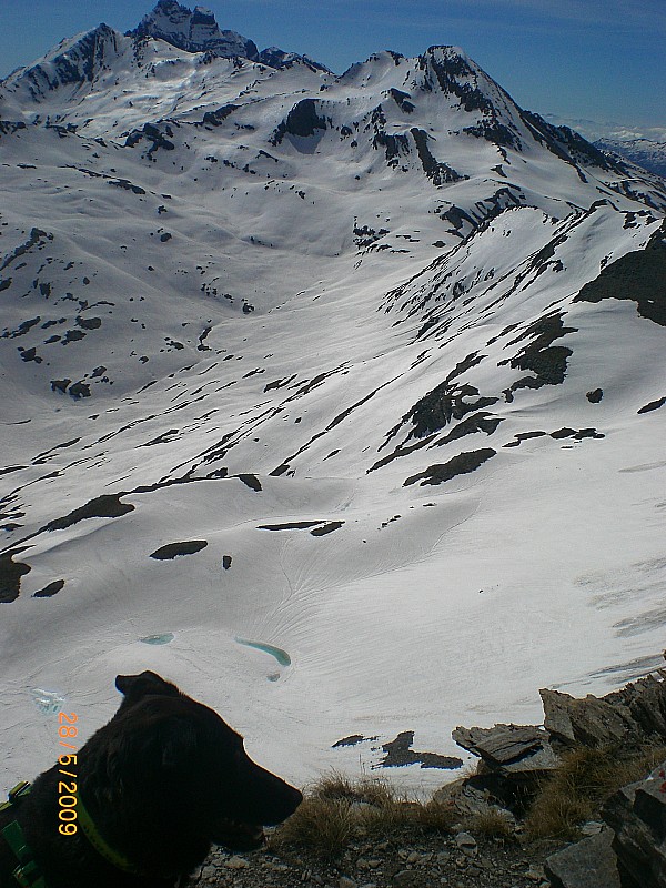 #8 haut du vallon de Bouchouse : En bas le lac de l haut du vallon de Bouchouse : En bas le lac de l'Eychassier lui-aussi bien blanc.
Au fond, le Viso, Rocca Rossa et Pain de Sucre.