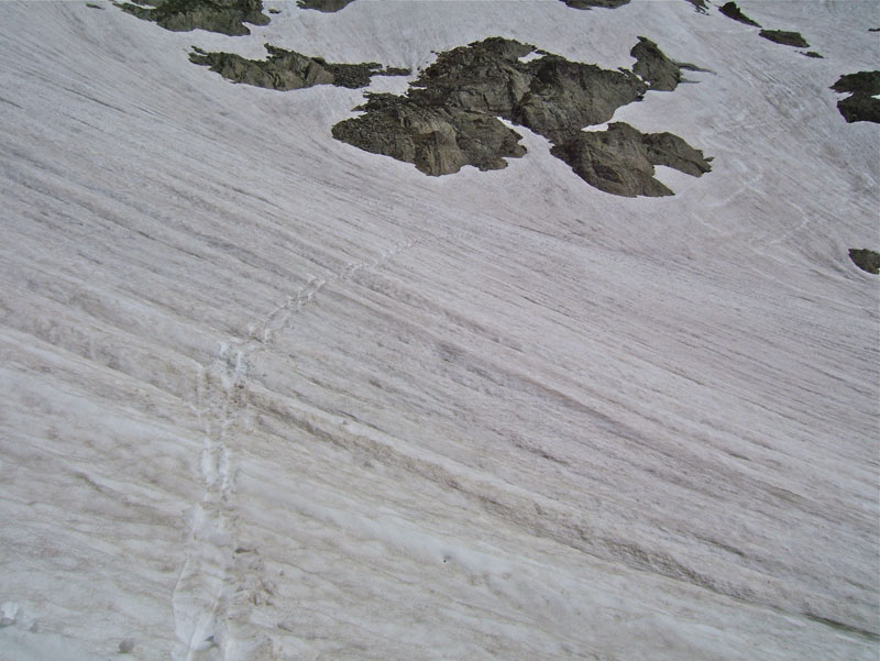 #18 GELAS : 2700m les choses se gattent, la tôle est bien là et en plus plein de bosses. GELAS : 2700m les choses se gattent, la tôle est bien là et en plus plein de bosses.
