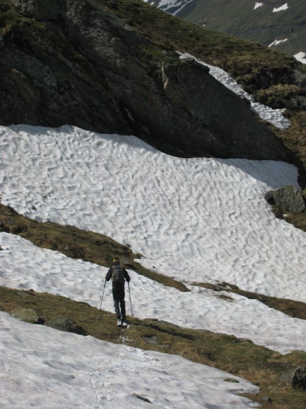 #10 Il faut être motivé : pour skier dans toute cette poudreuse ! Il faut être motivé : pour skier dans toute cette poudreuse !