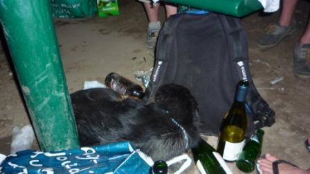 #25 Fin de soirée bien arrosée : Seul le chien (Erkan Fin de soirée bien arrosée : Seul le chien (Erkan') n'esn peut plus...