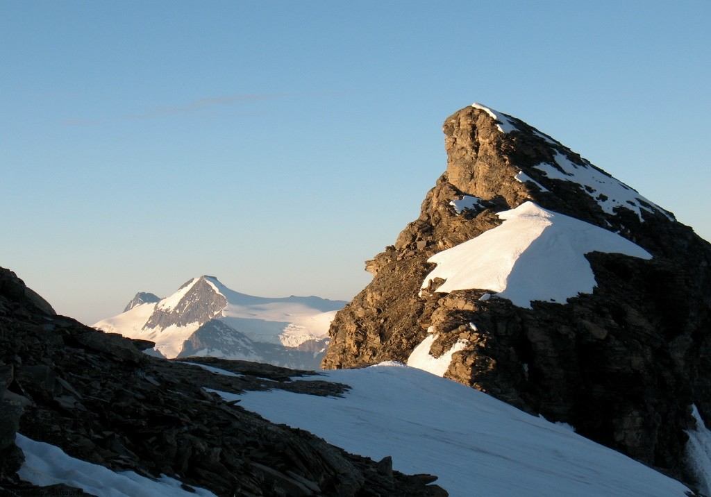 #4 Pointe du Montet... : ...et Albaron Pointe du Montet... : ...et Albaron