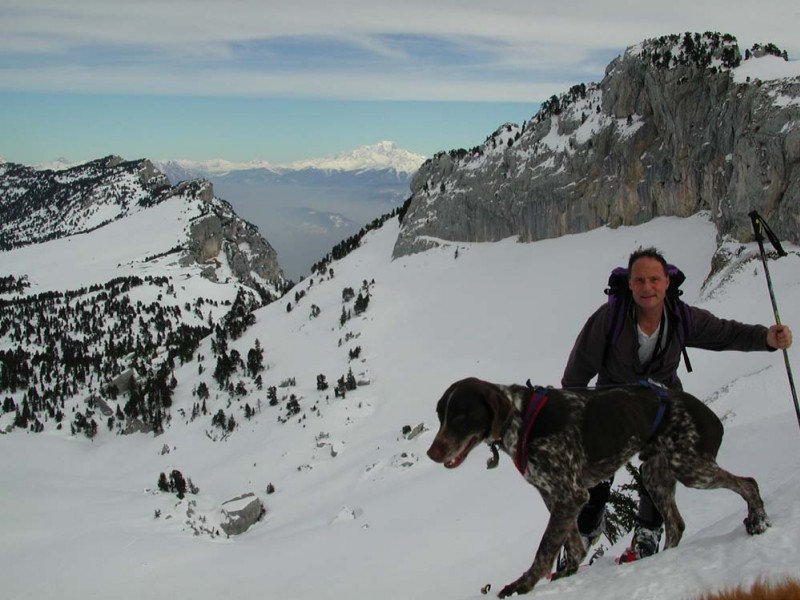 #1 sous le col de Bellefont : chien perdu sans collier dans la réserve sous le col de Bellefont : chien perdu sans collier dans la réserve