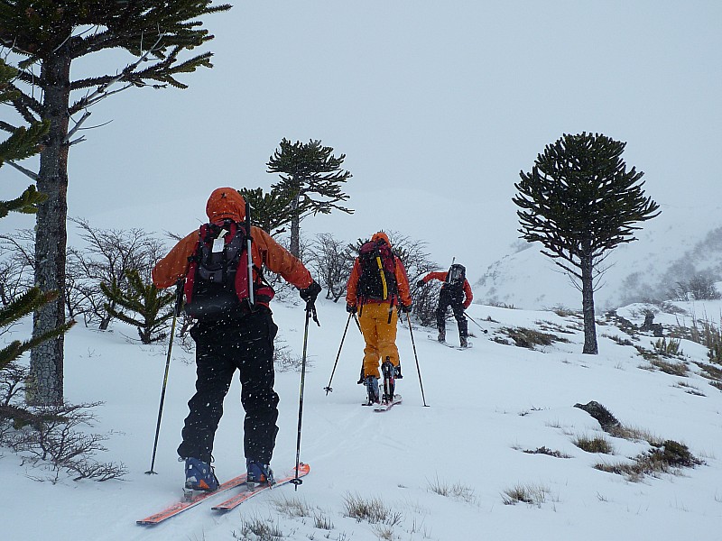 Second sommet : Yves, Anne et Alain de nouveau plein vent en arrivant sur la crête du second sommet secondaire.