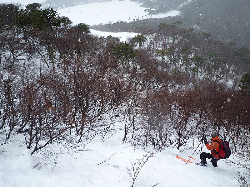 En cours de descente : Ski sanglier pour Alain !