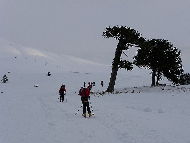 Au départ de Corralco : Direction le volcan Lonquimay