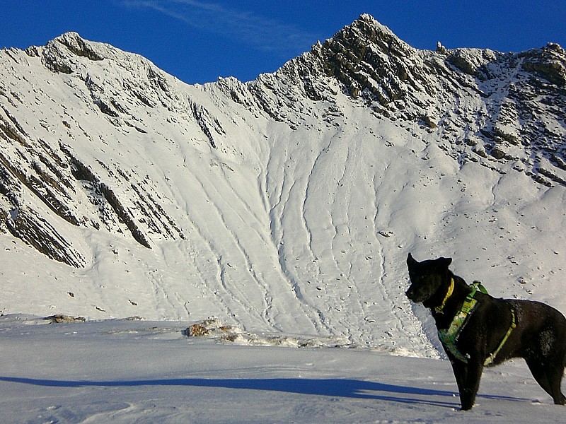 pic des trois évêchés : Quelques accumulations dues au vent nous amènent à renoncer aux trois évêchés.
Vierges de traces de ski sur la photo, mais pas pour longtemps, semble t-il,car des Grenoblois rencontrés à la descente paraissaient décidés à en 