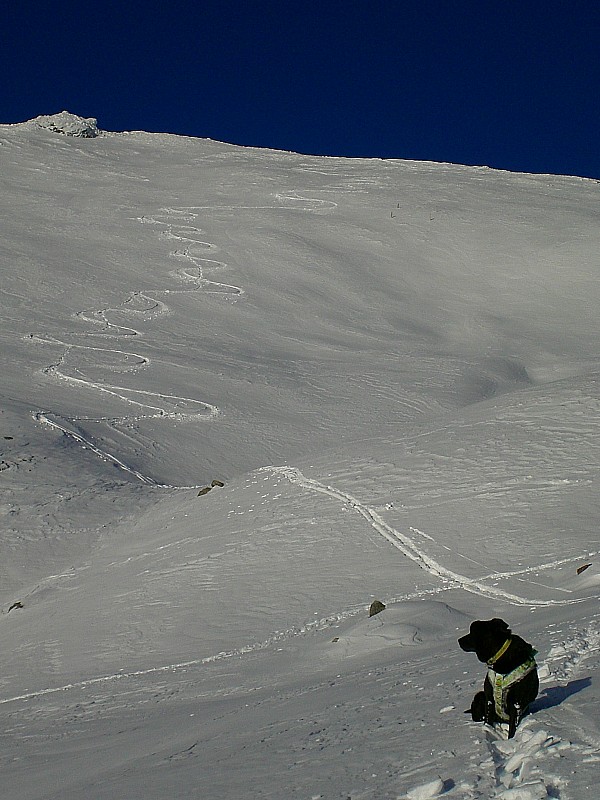 #4 crête de Côte Plaine : Les premiers virages de la saison. Sous la crête il faut quand même trier un peu. crête de Côte Plaine : Les premiers virages de la saison. Sous la crête il faut quand même trier un peu.