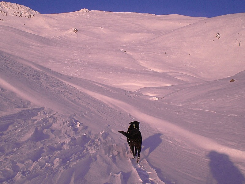 crête de Côte Plaine : Enfin! ça "décroute" les coussinets cette belle neige !...