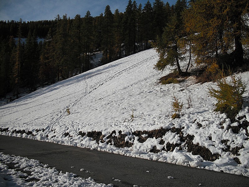 le départ : bord des pistes