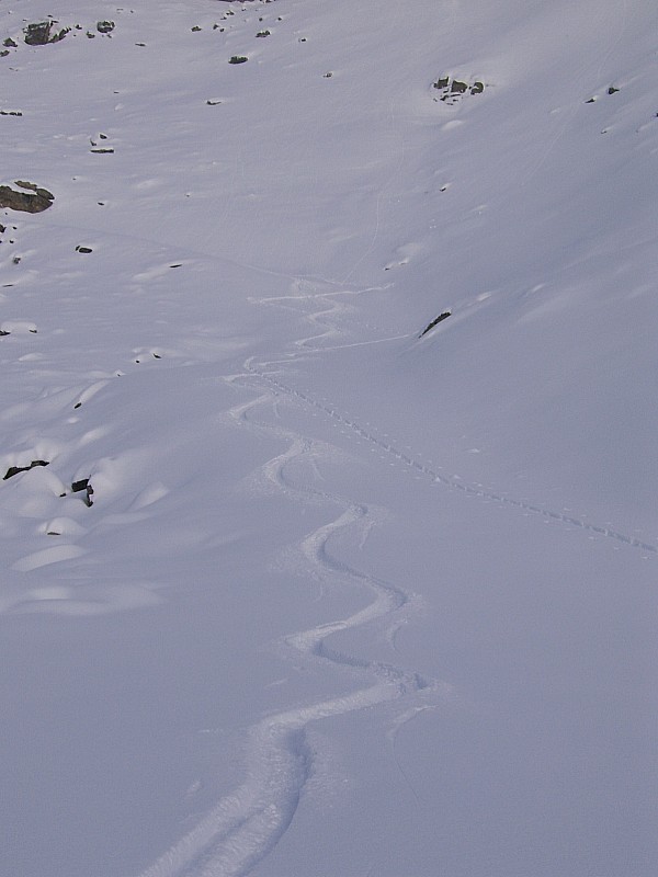 #4 montée + descente sur piste : les pistes (vierge) , c montée + descente sur piste : les pistes (vierge) , c'est top