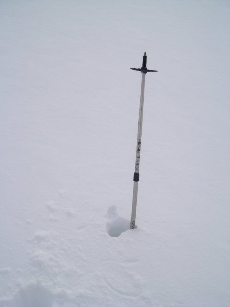 Hauteur de neige : Bien 60 cm de poudre vers 2200m ....miam miam !
