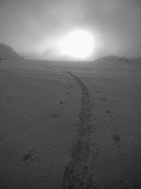 #2 col de platée : lumière blafarde près du col col de platée : lumière blafarde près du col