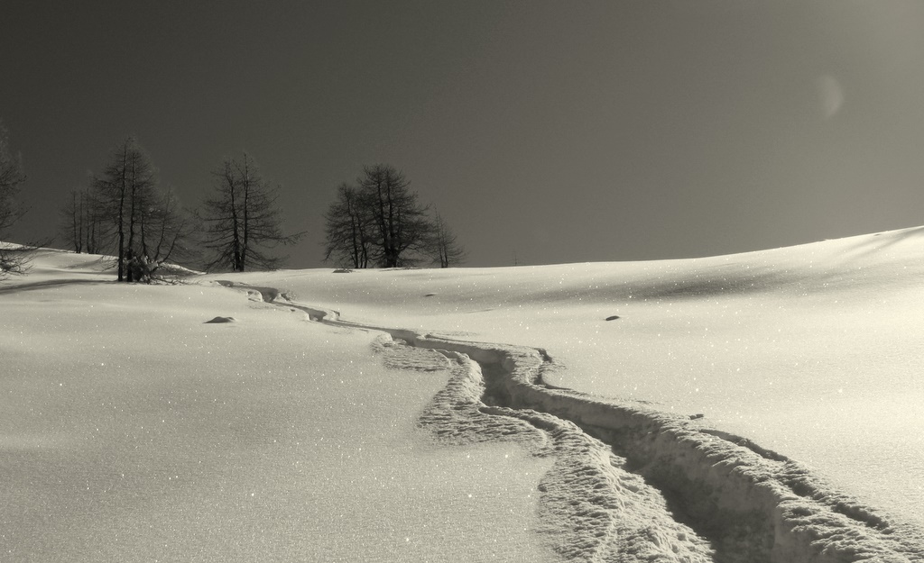 #6 Quelques virages, quand même Quelques virages, quand même