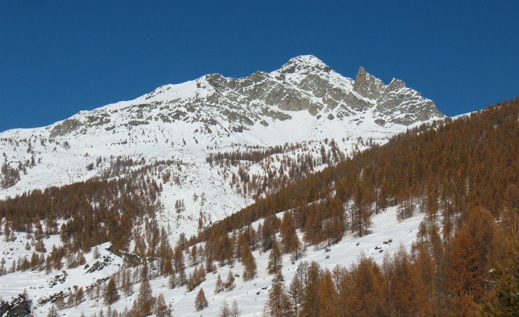 #7 Pour Mic Pour Mic'hel ;o) : Mélange automne/hiver