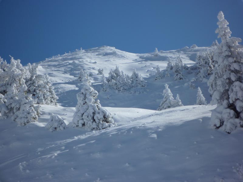 #5 La descente : Virage depuis le sommet, que du bonheur. La descente : Virage depuis le sommet, que du bonheur.