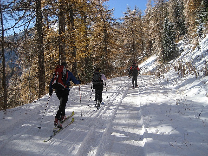 #7 Pointe d Pointe d'Emy : Départ au milieu des mélèzes