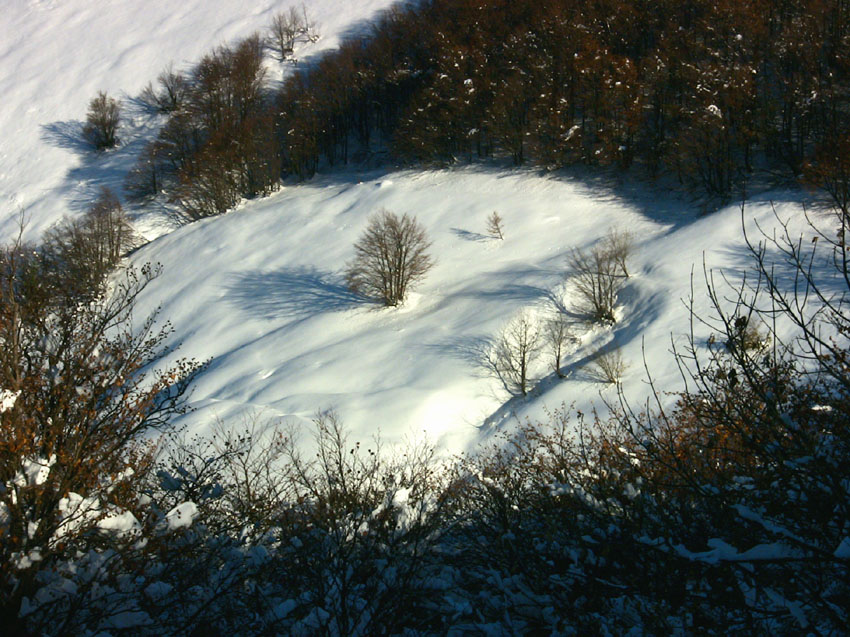 #3 L L'hiver s'installe