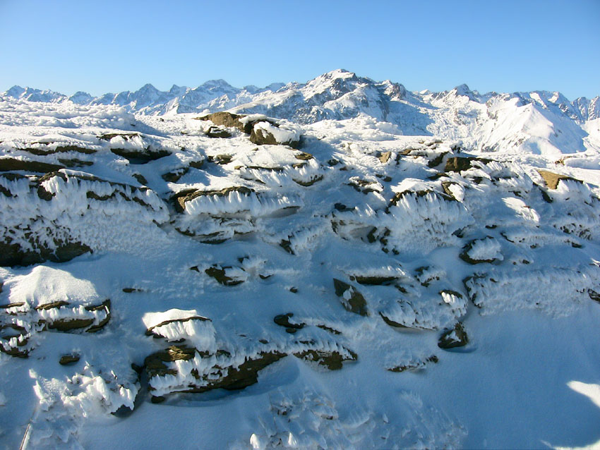 #11 Le givre joue les artistes ! Le givre joue les artistes !